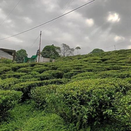 Shriyahomestay Kurseong Room photo