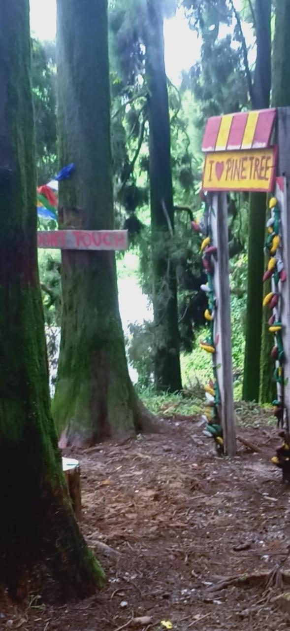 Shriyahomestay *