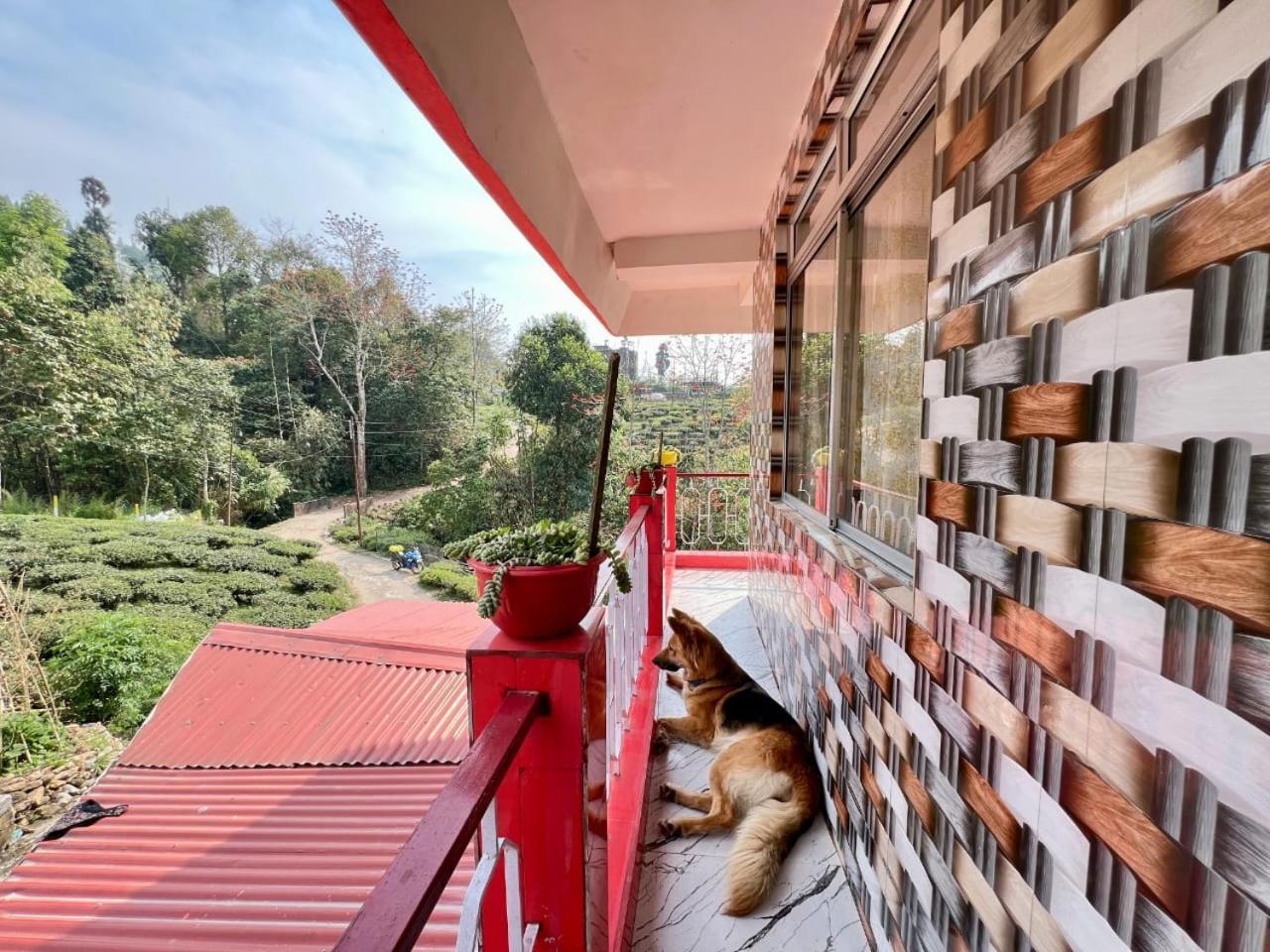 Shriyahomestay Kurseong