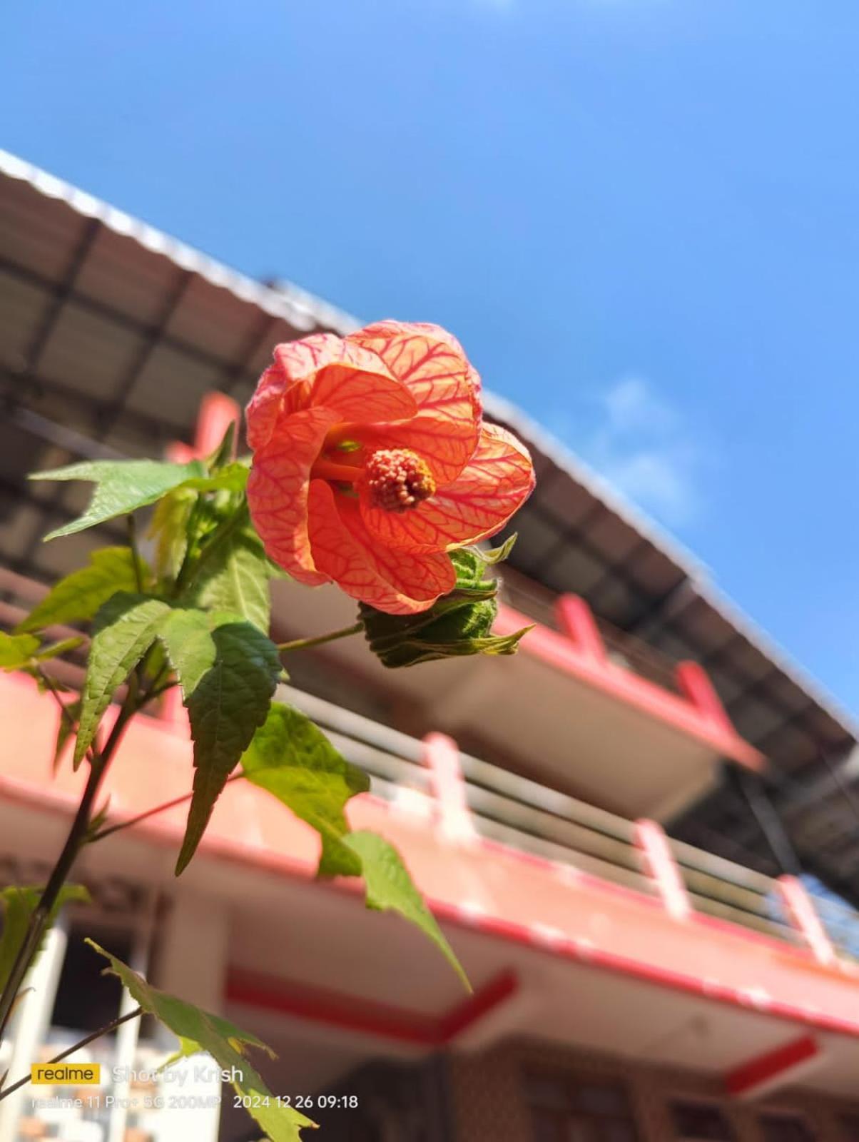 Shriyahomestay Homestay